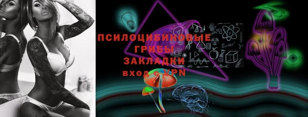 бошки Мегион