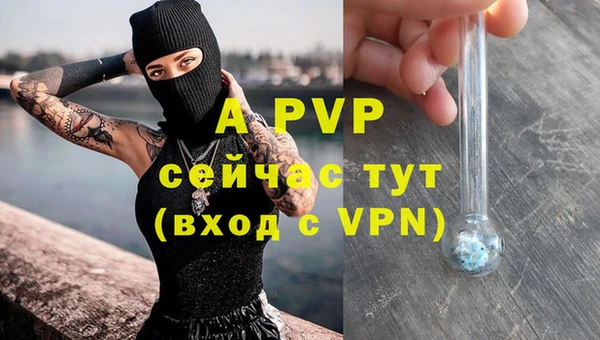 spice Аркадак