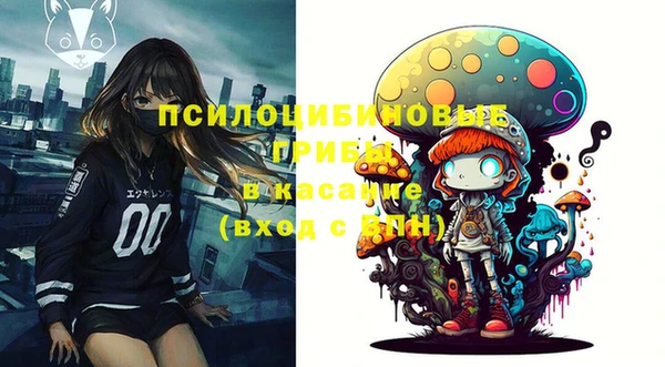 ПСИЛОЦИБИНОВЫЕ ГРИБЫ Алзамай