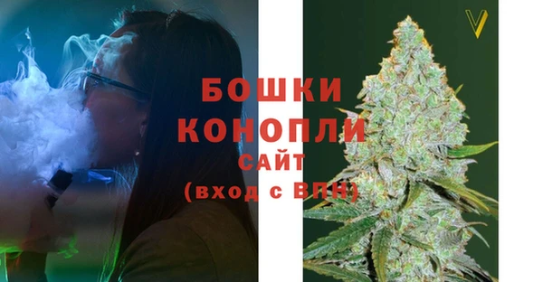 spice Аркадак