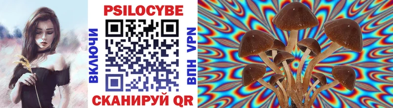 Галлюциногенные грибы Psilocybine cubensis  Малмыж 